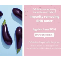 Eggplant BHA Water Cream (Expiring 15/7/2026)