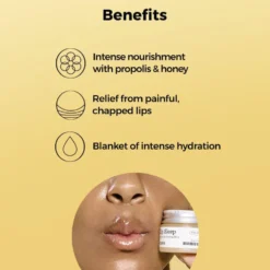 Full Fit Propolis Lip Sleeping Mask