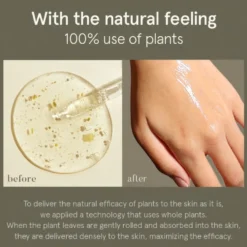 Green Tea Serum