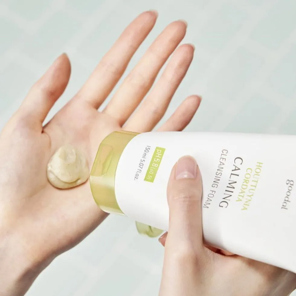 Houttuynia Cordata Calming Cleansing Foam