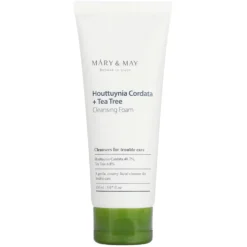 Houttuynia Cordata + Tea Tree Cleansing Foam