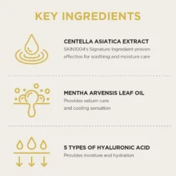 Madagascar Centella Watergel Sheet Ampoule Mask