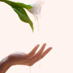 Reviving Rose Infusion Serum