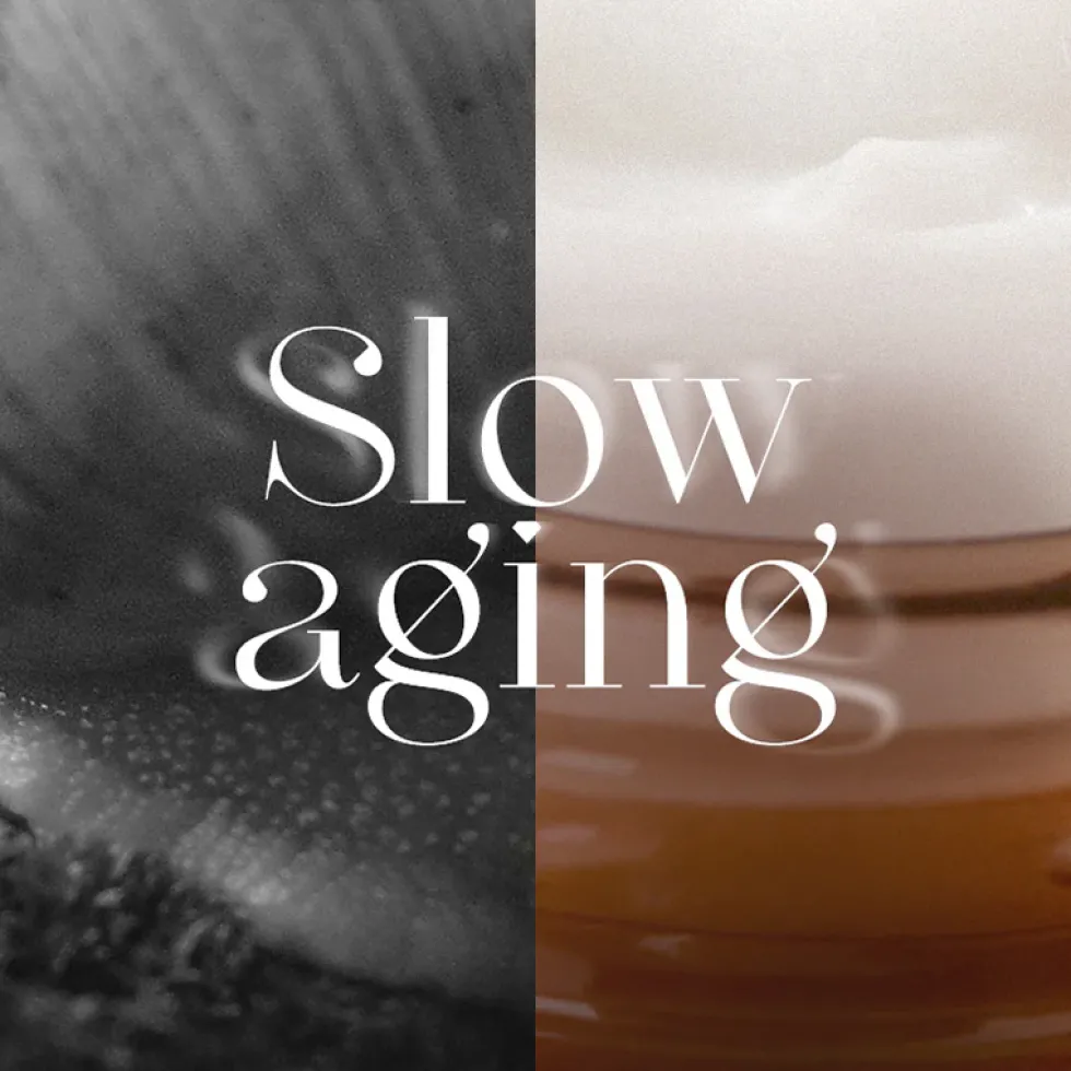 Snail Repair Eye Cream