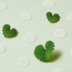 Wonder Releaf Centella Spot Patch